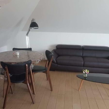 Orleans Appartement 2 Chambres Avec Parking 外观 照片
